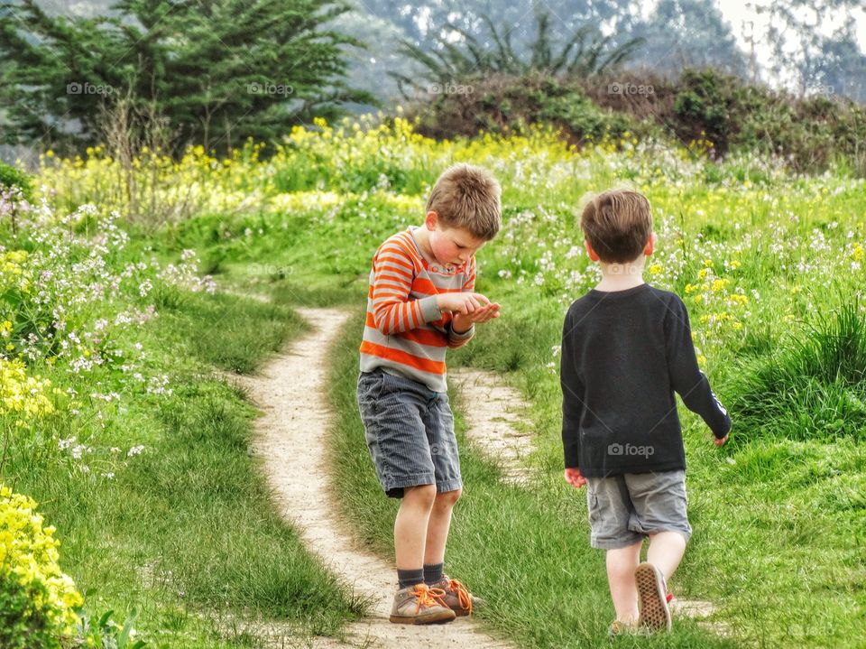 Boys Exploring A Garden Path