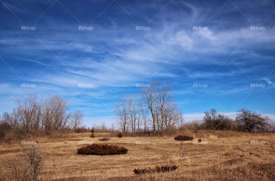 Wisconsin Landscape 