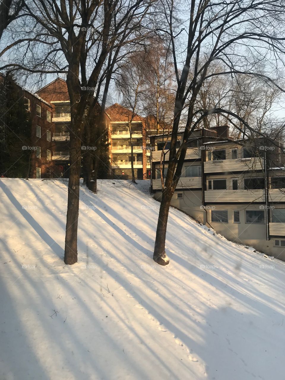 Winter in Oslo 