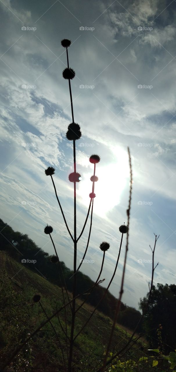 mobile click enjoy june