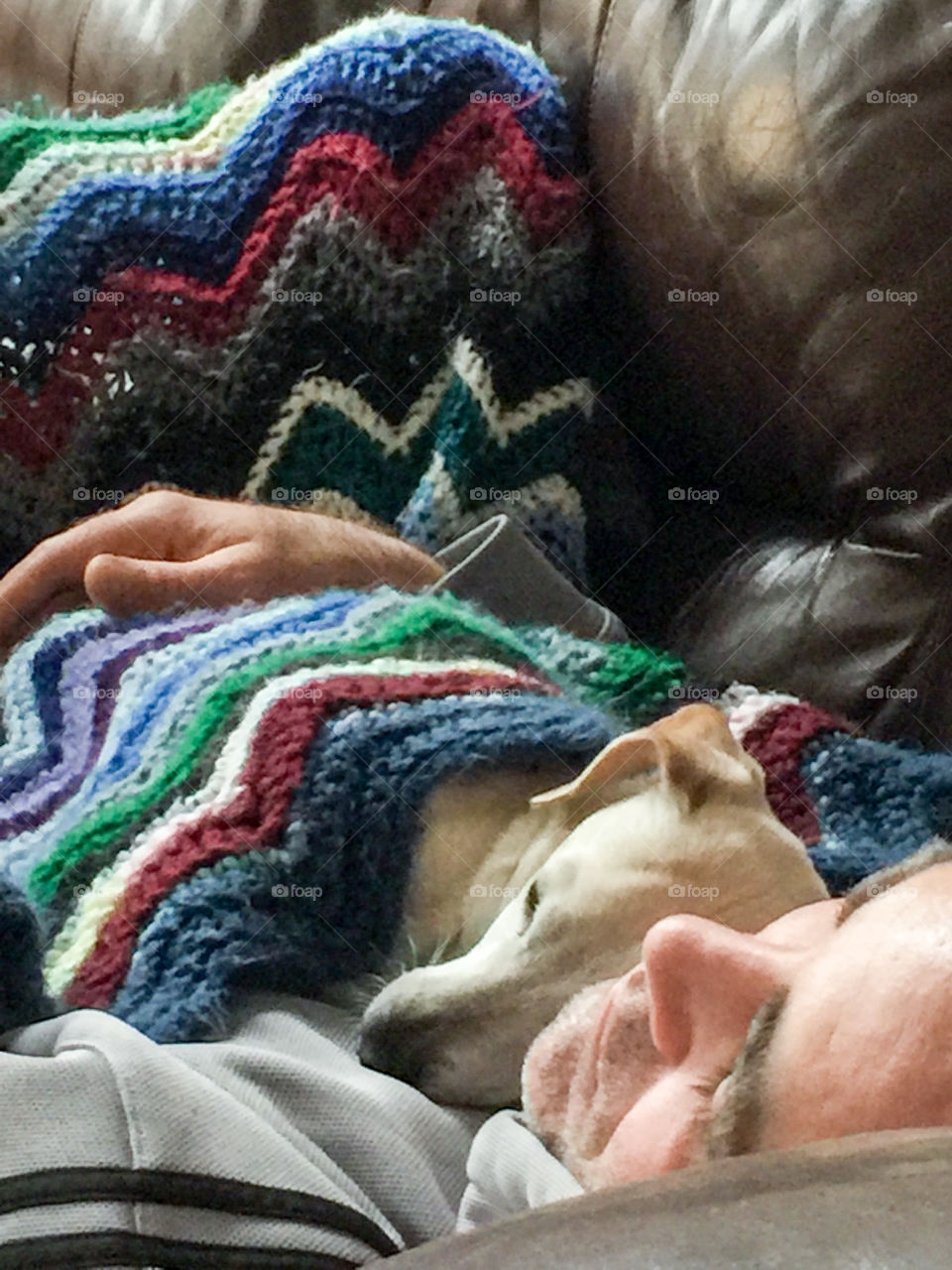 Puppy Love- two friends napping together.