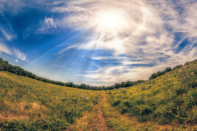 Sloped Nature Trail
