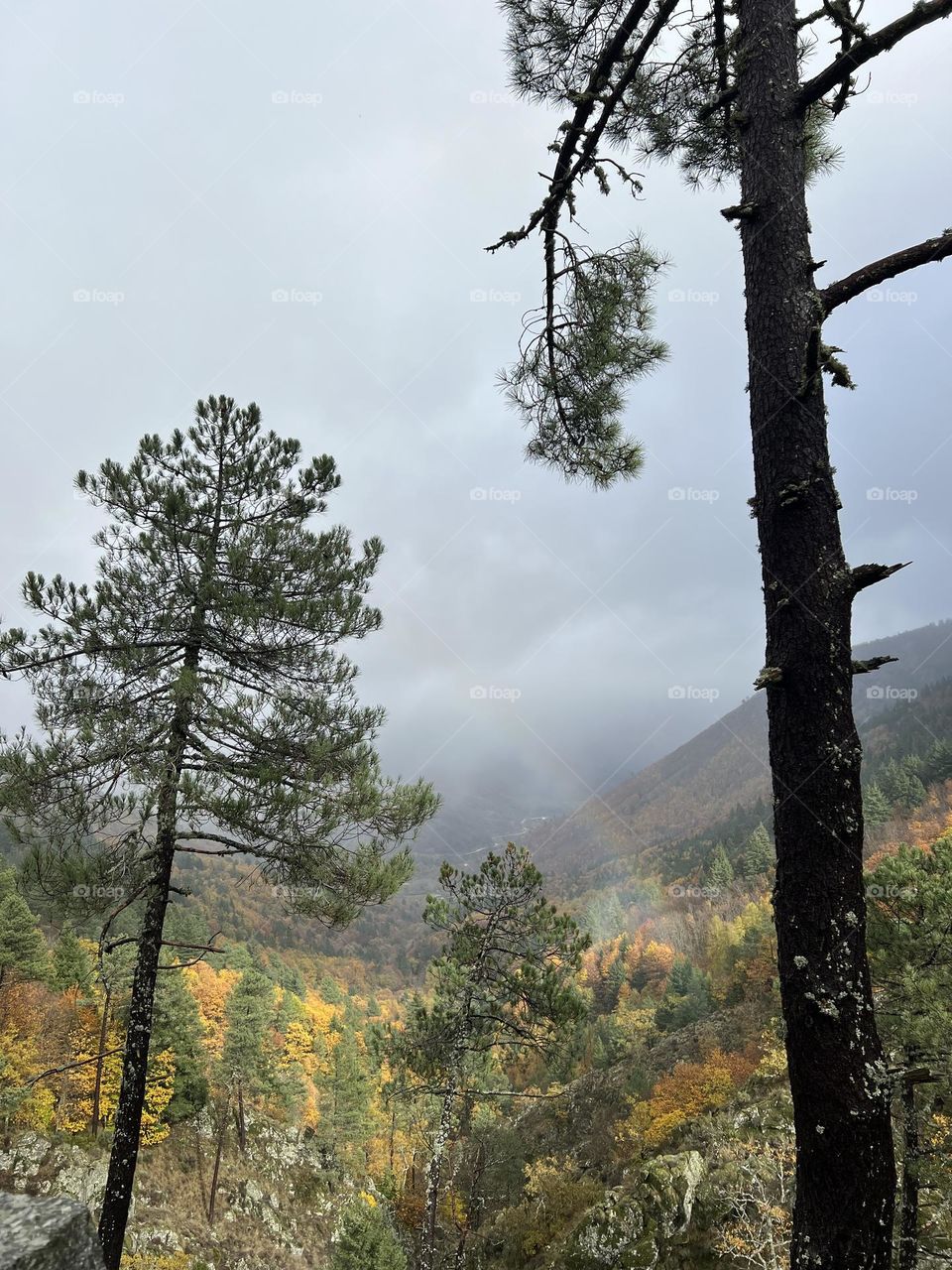 Rainbow in the mountains 