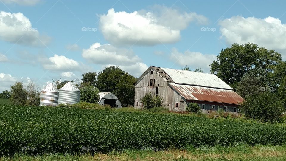 Agriculture, Farm, Barn, Silo, Rural