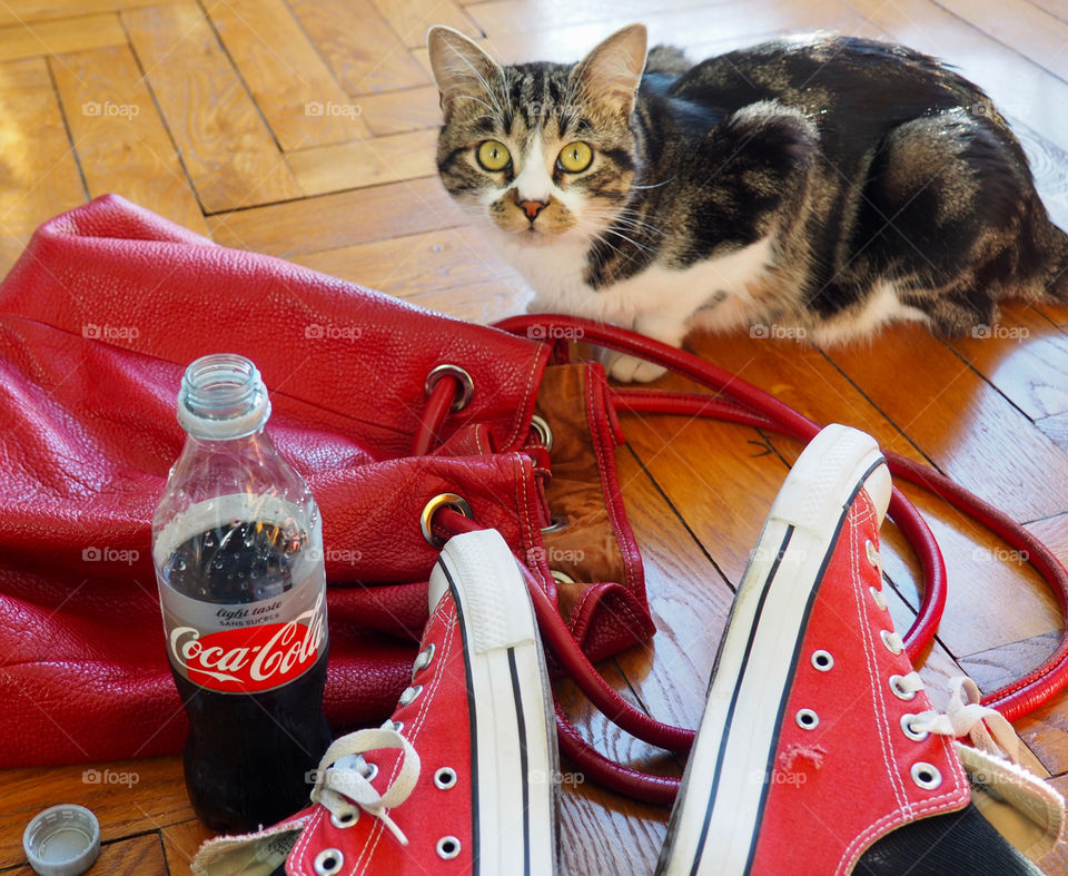 Sitting on hardwood floor drinking a Diet Coke with red sneakers, bag and cat.