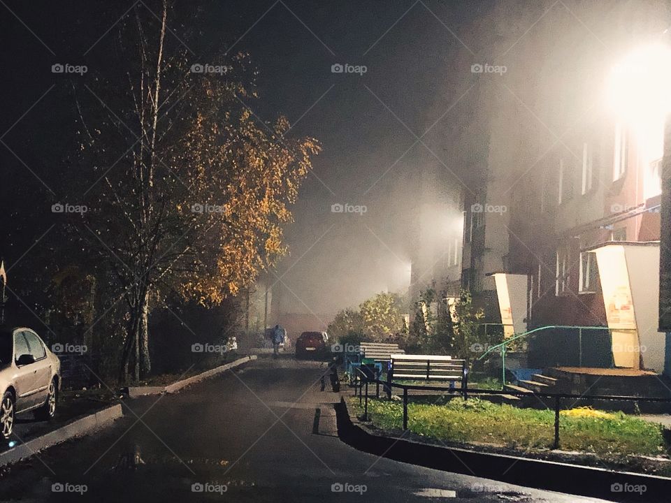 Foggy fall night