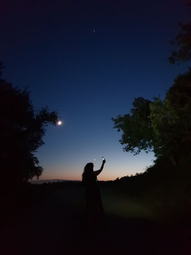 Free