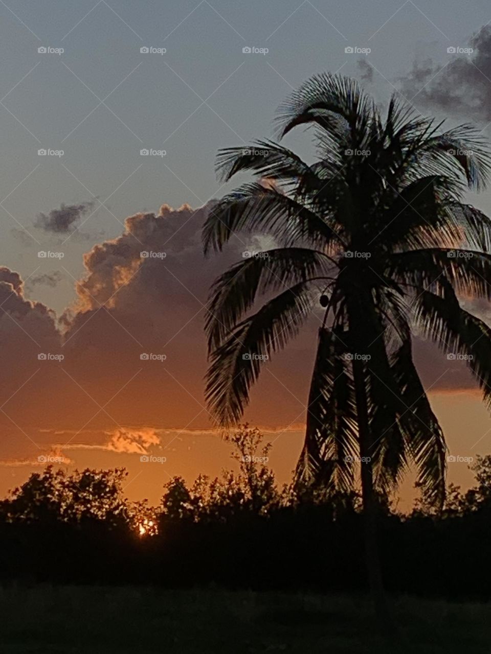 KEY WEST SUNSET 