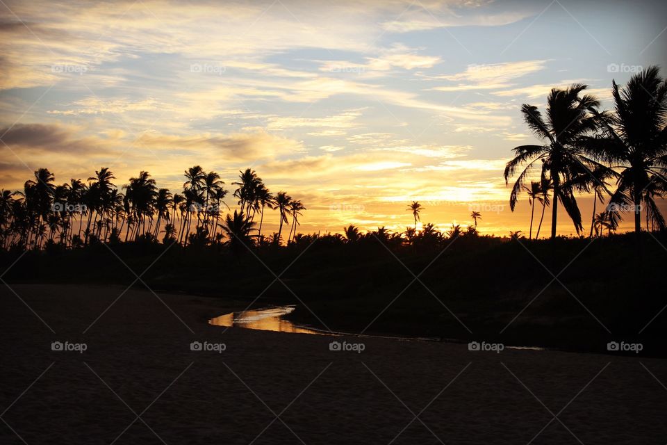 Golden beach sunset in Brazil