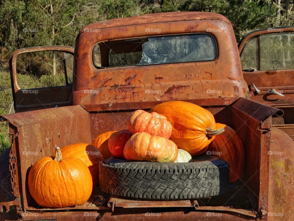 Pumpkins In An Old Farm Truck
