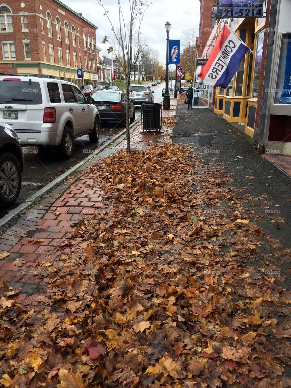 Fallen leafs on the sidewalks in fall