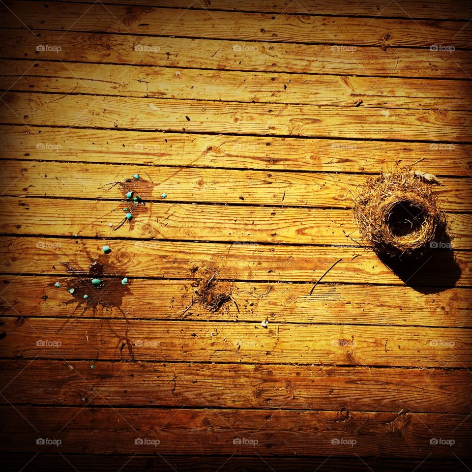 Back porch incident. 