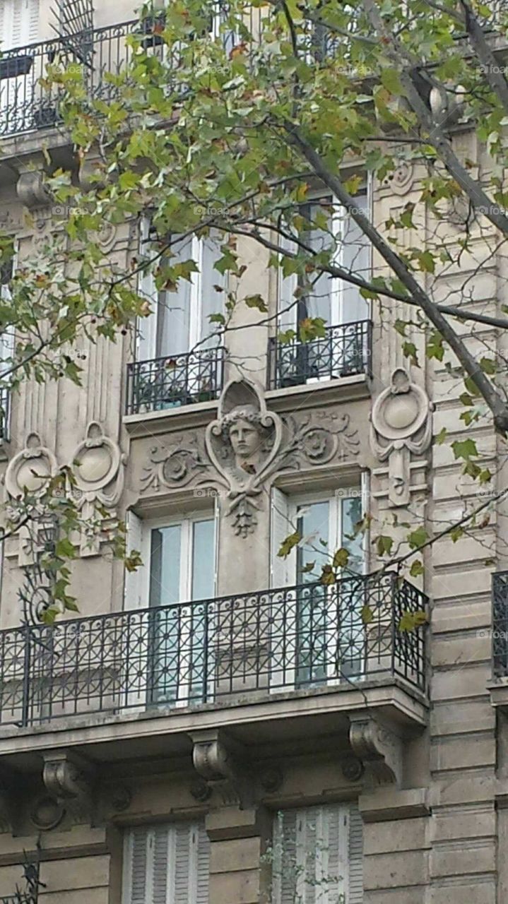 Parisian windows