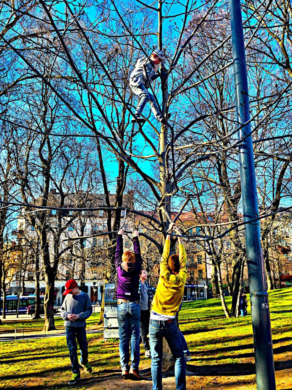 Spring in the Park!