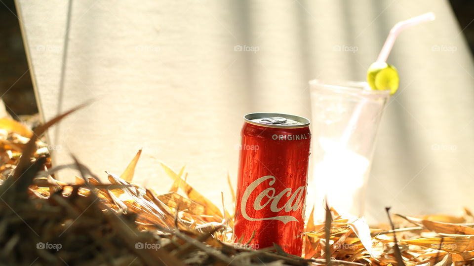 coca cola can