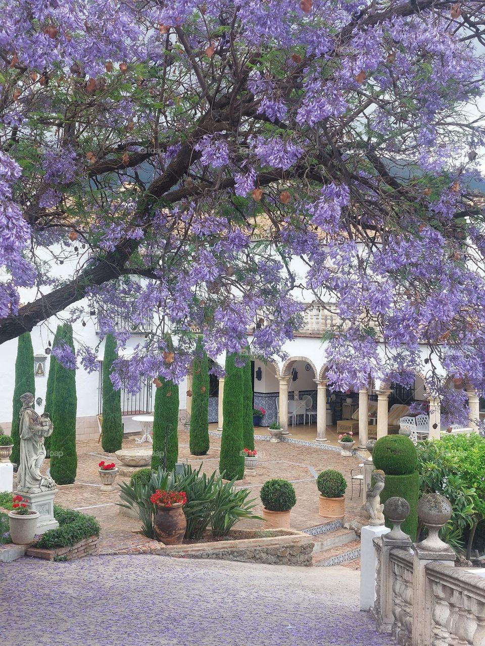 Beautiful tree and plants