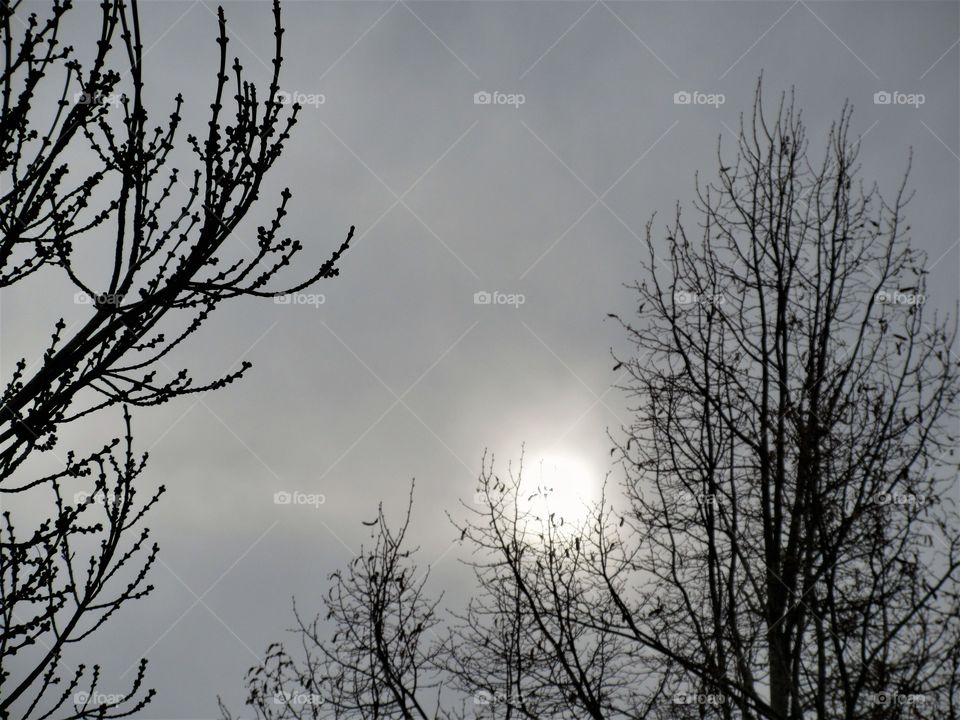 sun and overcast sky