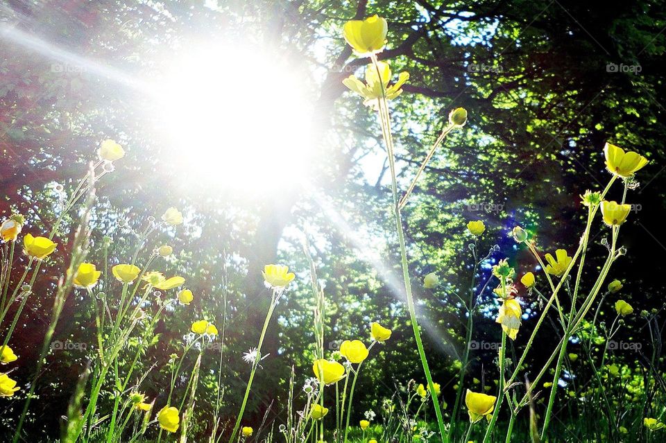 Opportunities are like sunrises. If you wake up late, you miss them
#opportunity #sunrise #wakeup #latr #miss #business #chance #motivate #dedication #success #strength #inspire #hashone