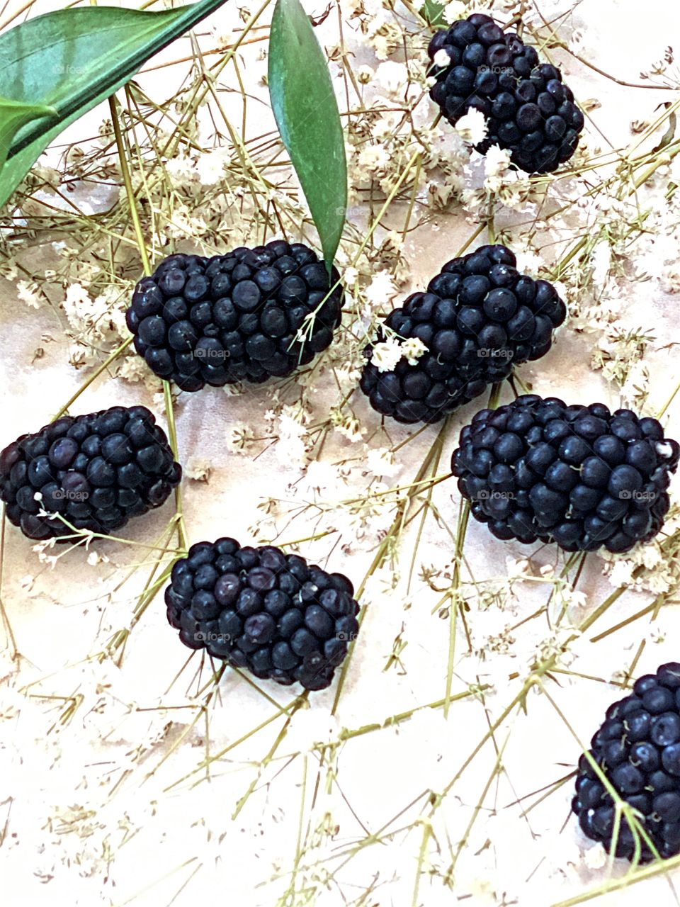 Blackberries 