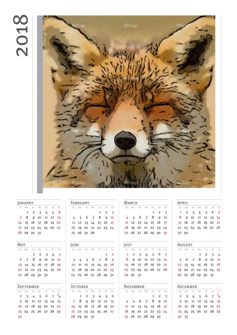 Calendar, Date, No Person, Animal, Nature