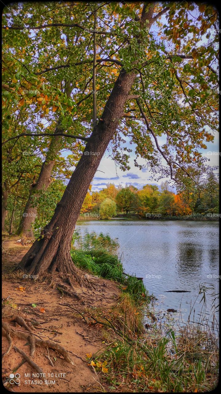 Polish golden autumn