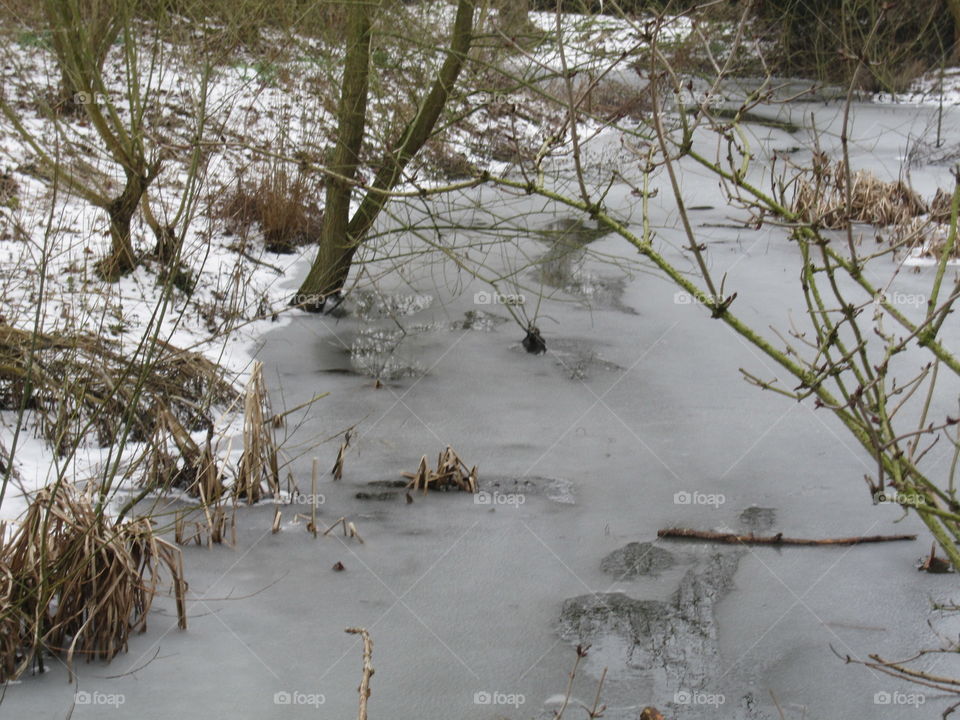 Frozen Water