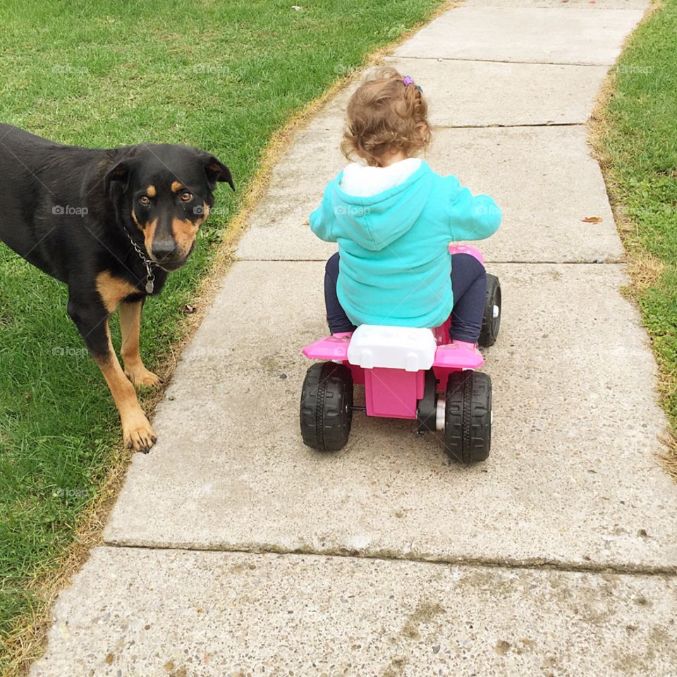 Toddler riding her pink 4-wheeler down a sidewalk with her dog right besides her