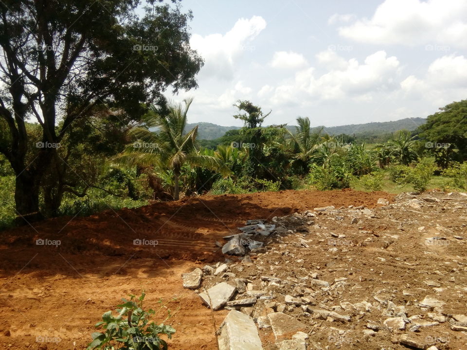 this is my first potos.