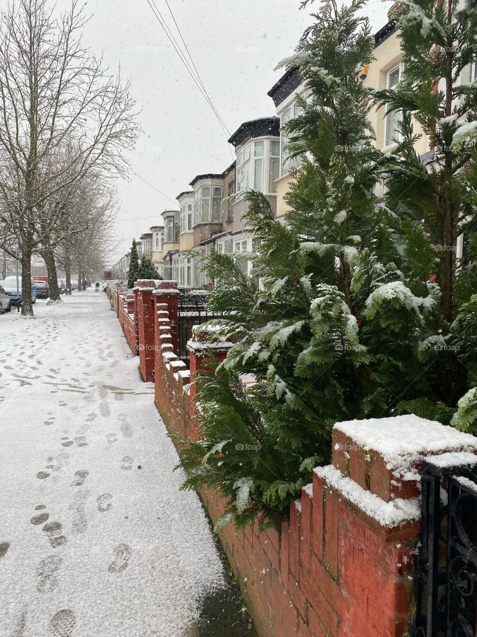 Winter with snowy day,the landscape is fantastic,we can see the footprints,how the trees changes we almost feel there