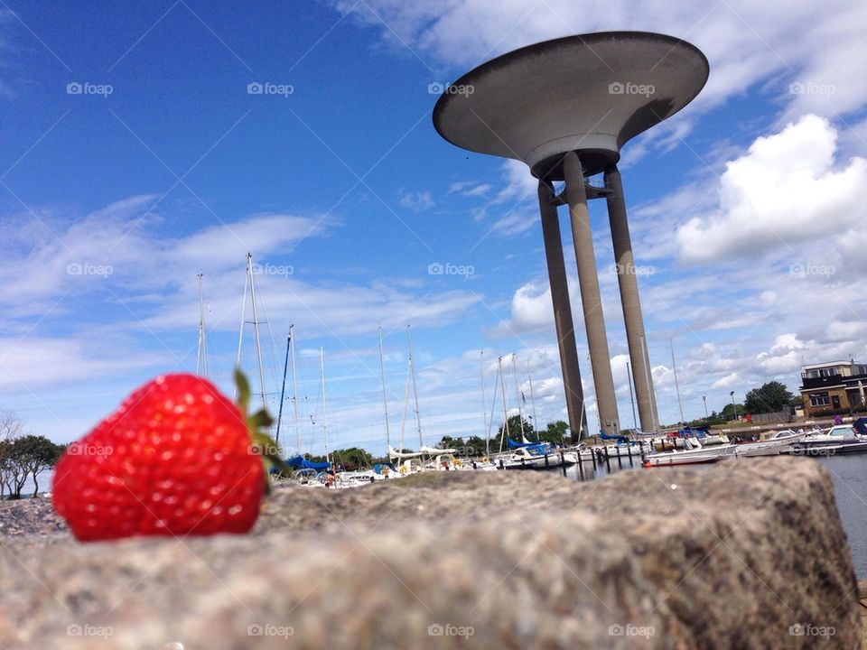 Strawberry at the marina