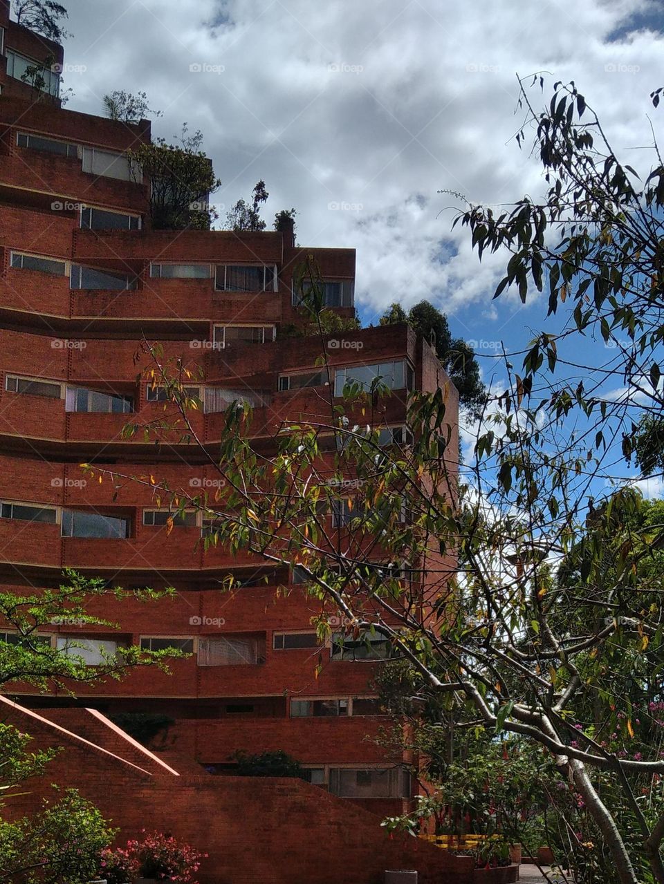 buildings and nature
