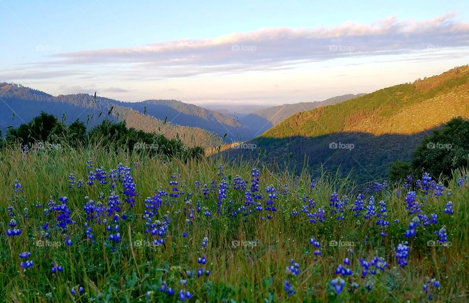 Springtime sunrise in the foothills