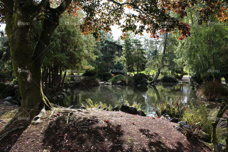 point defiance pond