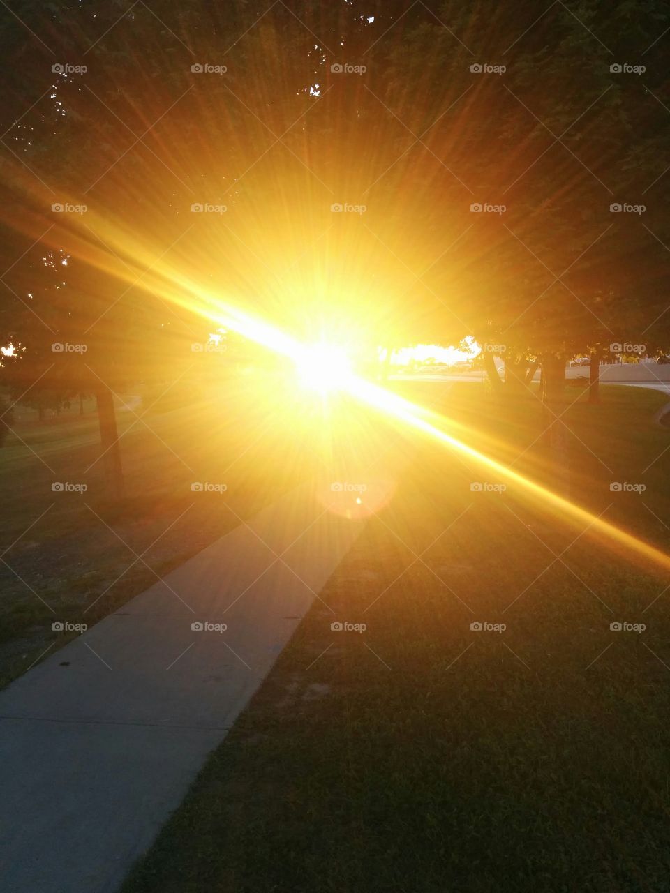 sun flare