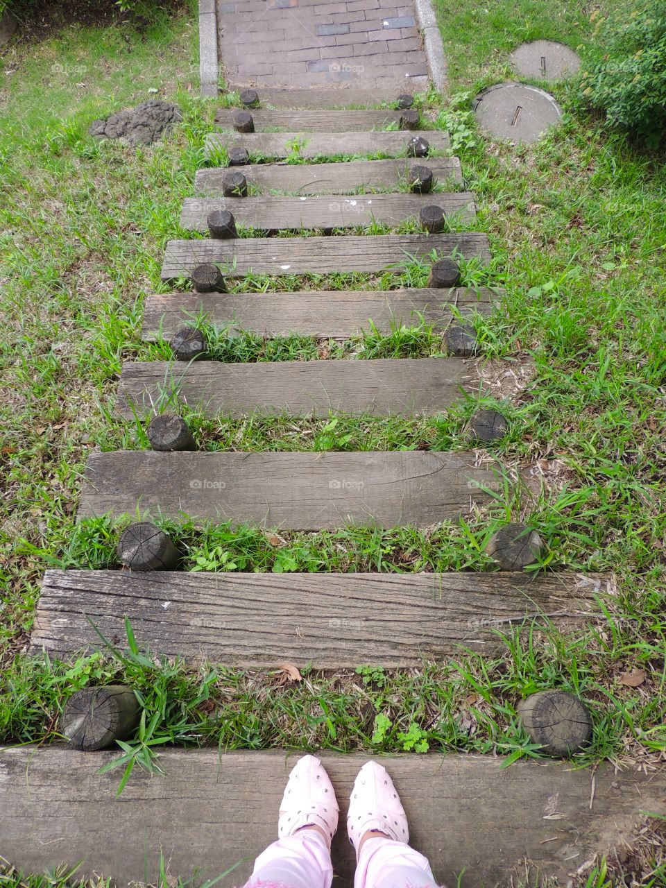 Stairs in the park