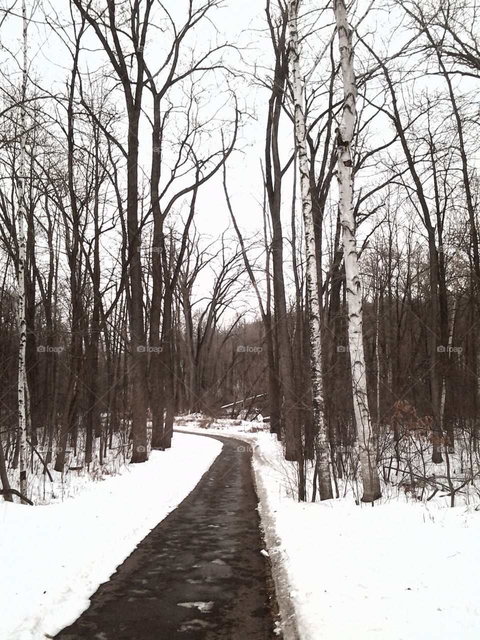 A Brisk walk through a winter wonderland.