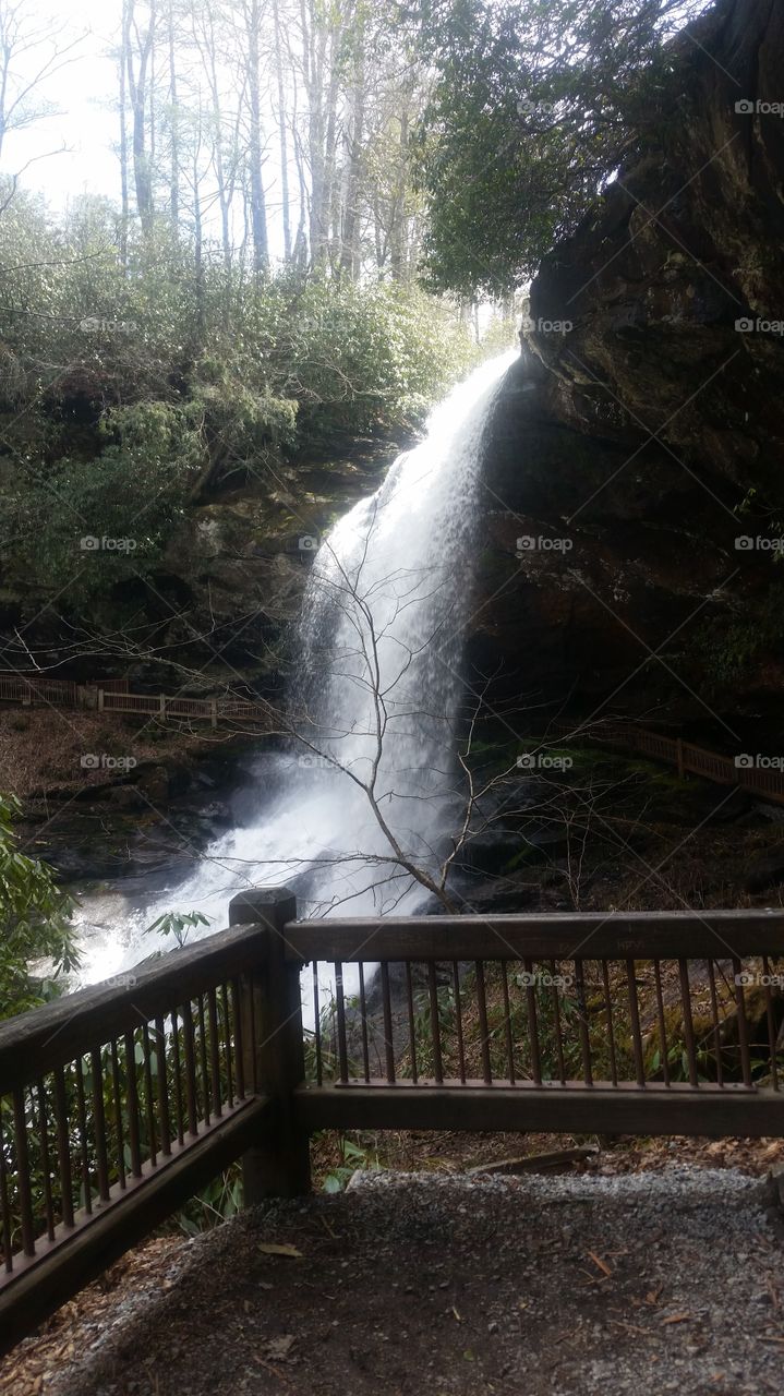 Water, Wood, No Person, Waterfall, Nature