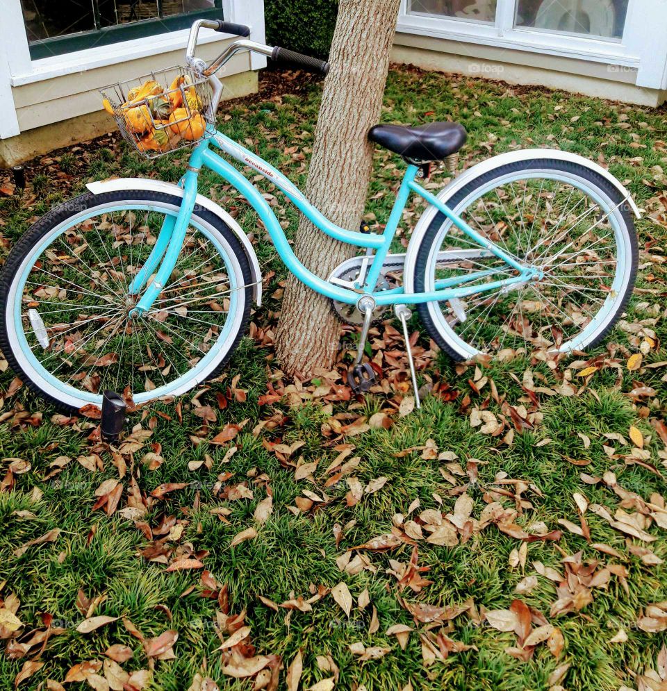 Autumn Abandoned Bike