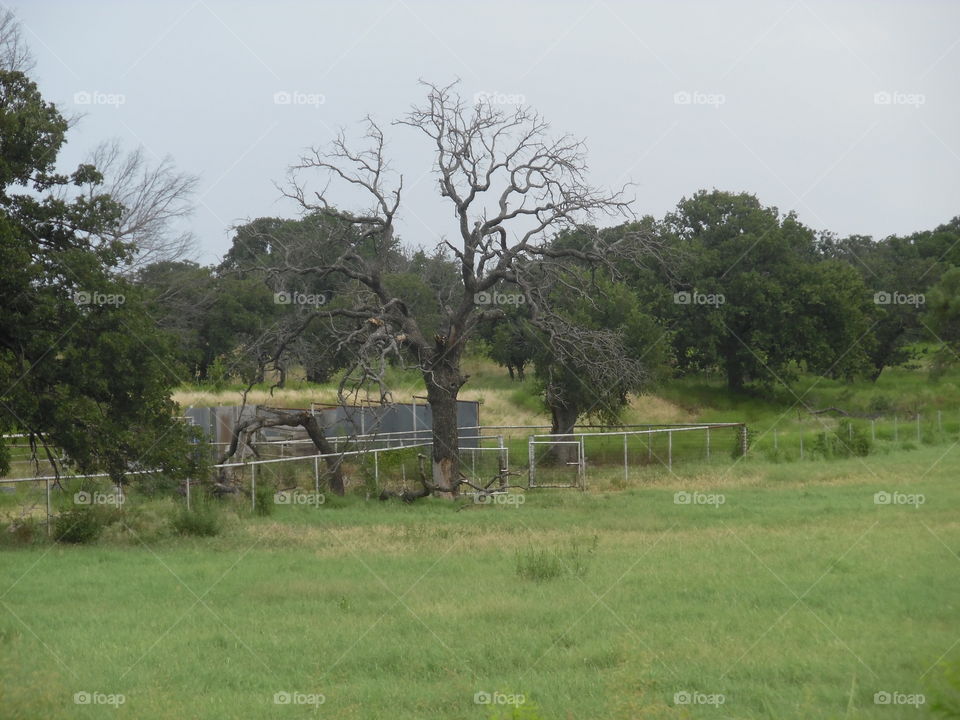 Sunday morning bicycle 🚲 ride. This is a picture I took while out exploring East Texas