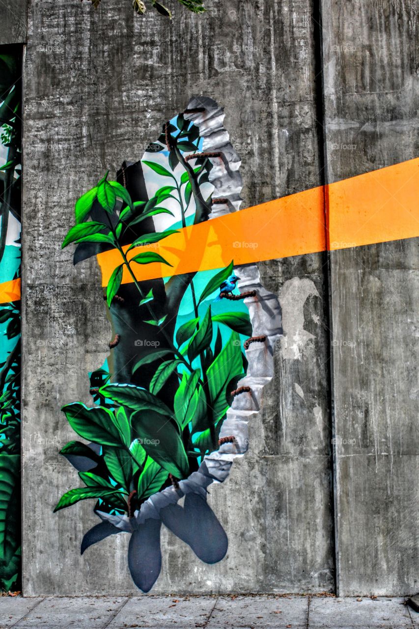 Blue Bird wall painting