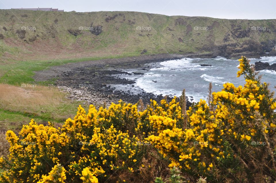 beautiful landscape in northern ireland near giants causeway