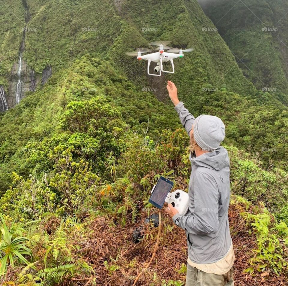 drones spray plants in the mountains