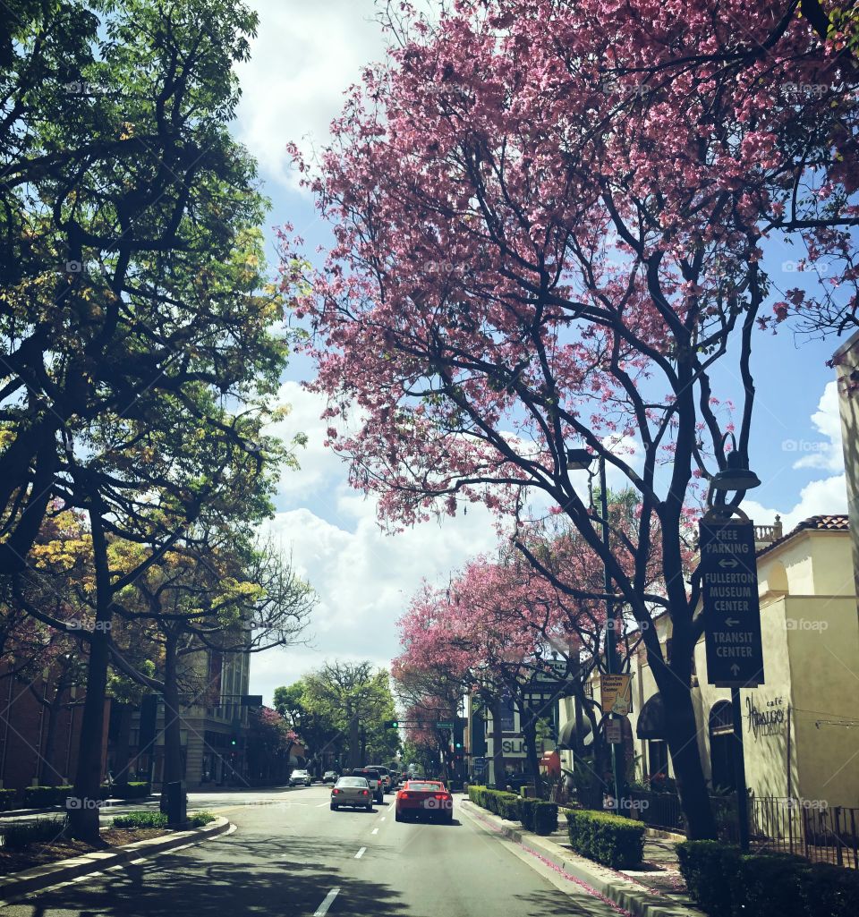 Spring street 