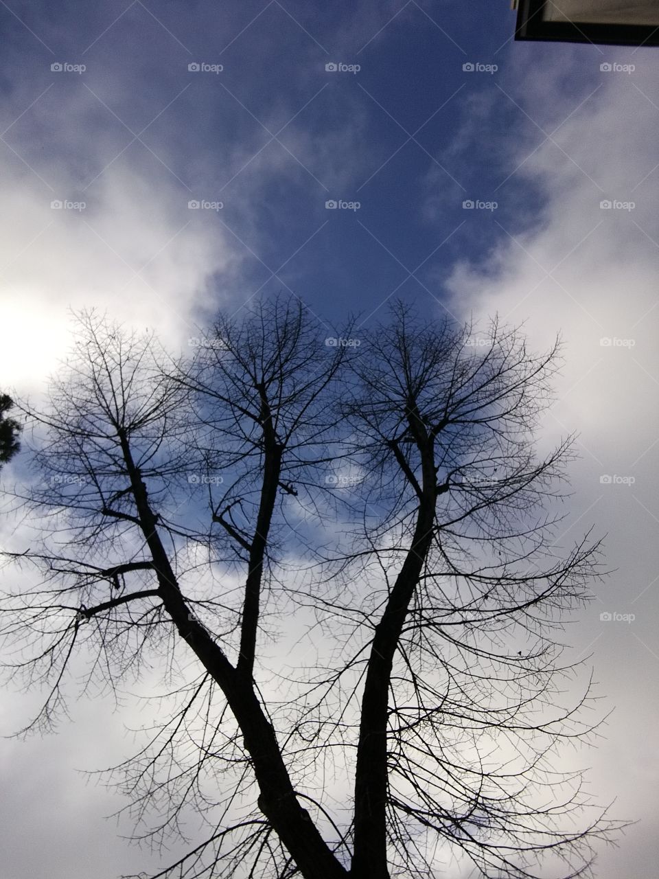 Well marked in the sky