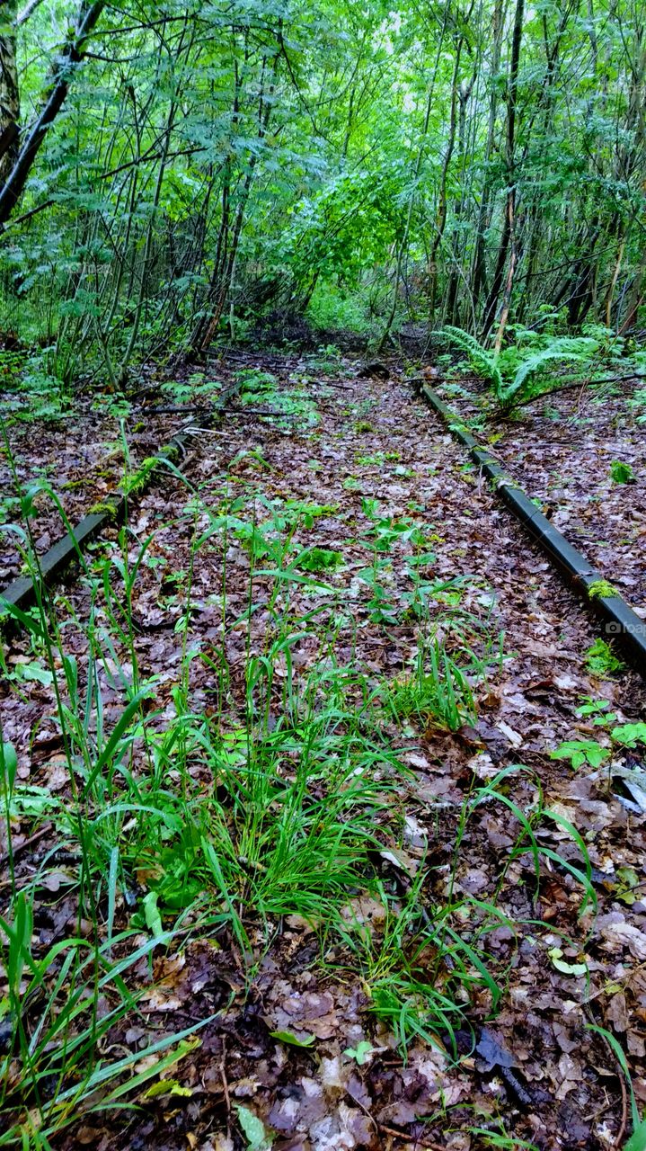 Abandoned railway