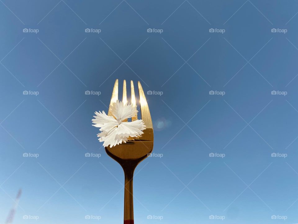 Fork