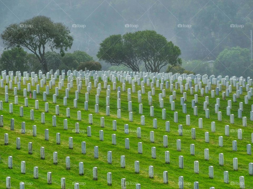 Ordered Rows of Gravestones