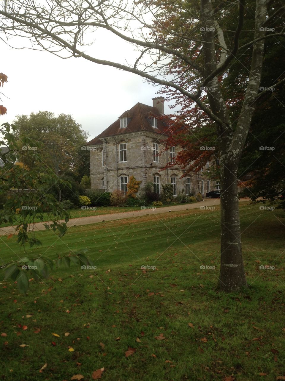 Beautiful old house