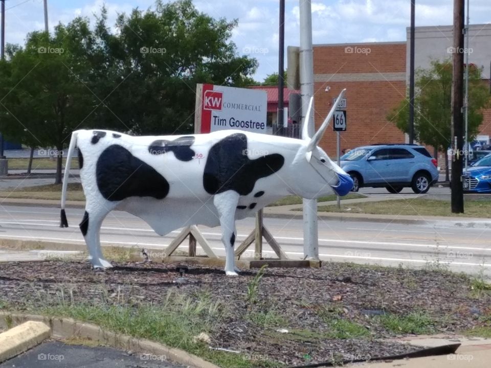 statue of black and white cow with a mask on