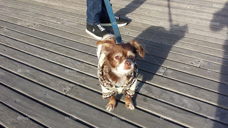 Nivea and care during the holidays